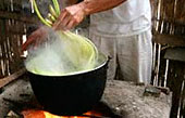Photo Tour Page 4: Panama Hat Soup