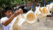 Photo Tour Page 11: Laundry Day