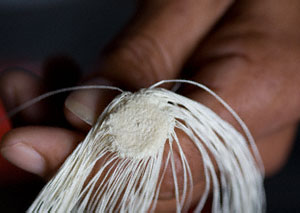 The beginning of a masterpiece by the world's finest Panama hat weaver.