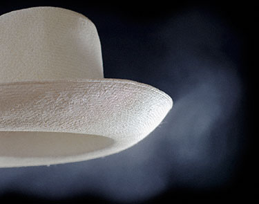 Hat_in_the_Steam_0637_375pxW