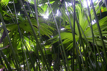 tour_02_03_plant3