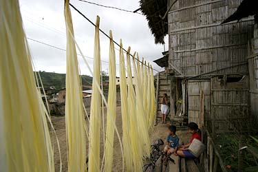 tour_05_01_straw5
