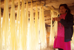Drying bleached Montecristi straw under house