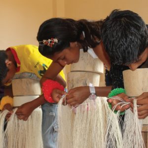 Montecristi Foundation Donation