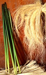 Making Straw from Cogollos