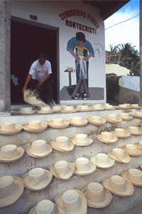 montecristi panama hats