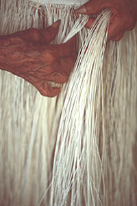 Weaving a Montecristi Panama hat