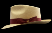 Hemingway's Hat, Montecristi hat (nonumber_1454)