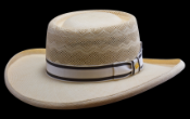 Monte Carlo IS, Montecristi hat (B1106_4423)