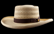 Monte Carlo IS, Montecristi hat (B1422_1273)