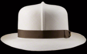 Optimo, Montecristi hat (B424_0843)